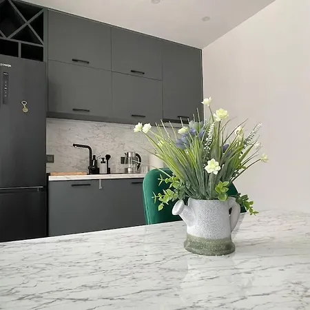 Apartmán зелено студио *