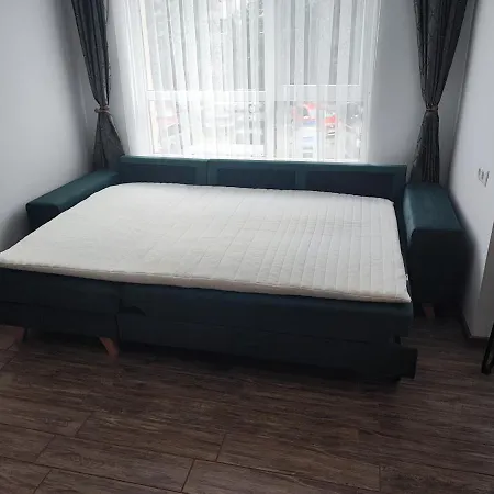 зелено студио Daire