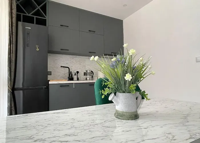 Apartamento зелено студио *